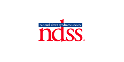 ndss logo
