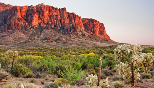 mountain during golden hour with greenery
