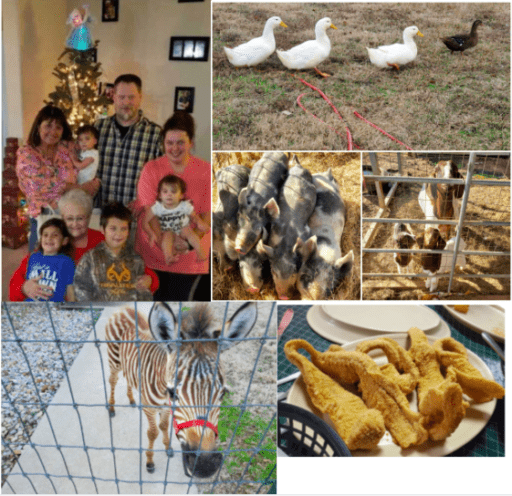 Aarons holiday photos