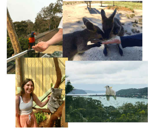 Amelia's holiday photos in australia